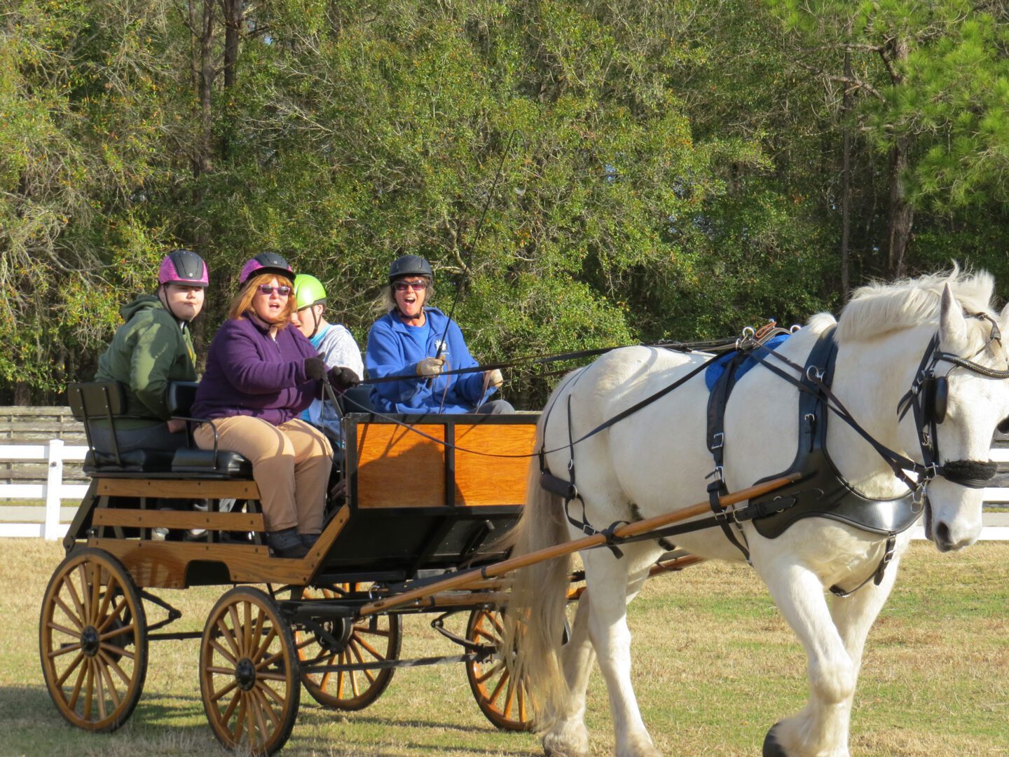 Charles-and-Margery-Foundation-Carriage-Ride Charles and Margery Baracik Foundation Carriage Ride