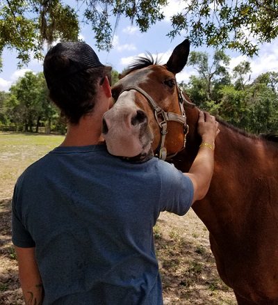 A man is petting the face of a horse.