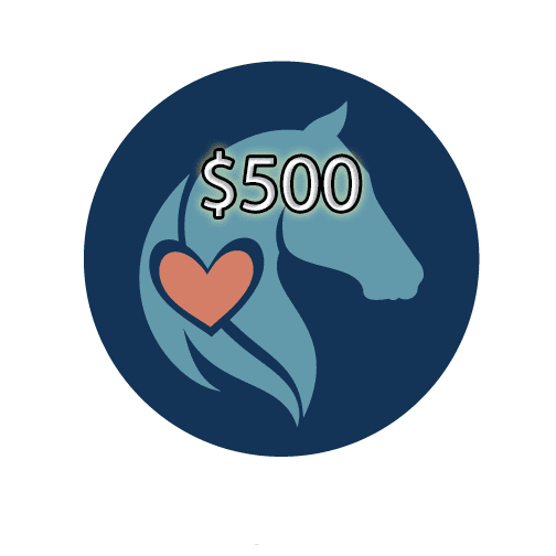$500 Donation - SMART