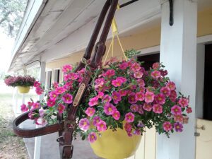 A yellow hanging basket filled with pink flowers.