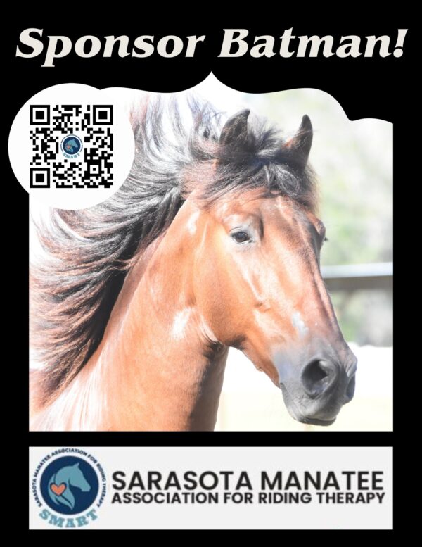A horse with a qr code on its face.