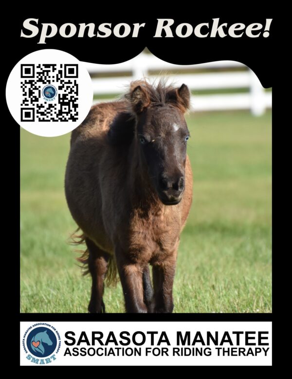 A horse standing in the grass with a qr code.