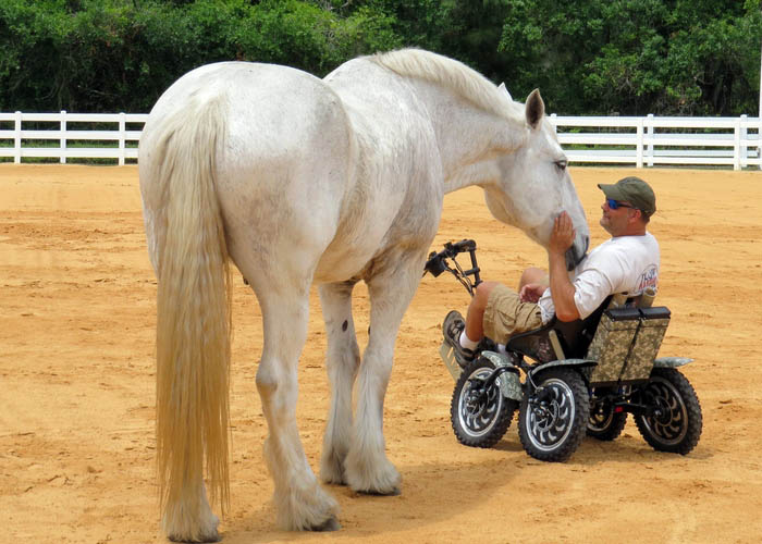 A man in a horse drawn carriage petting a white horse.