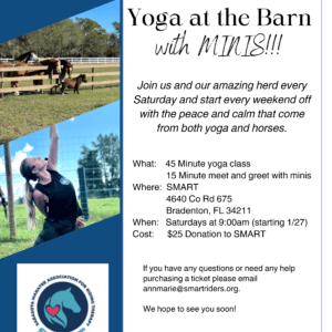 A flyer for yoga at the barn with minis